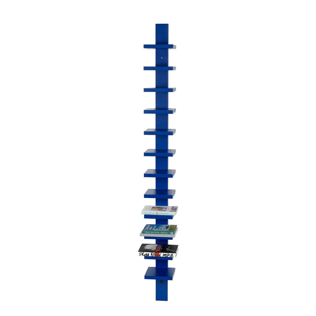 Pilaster