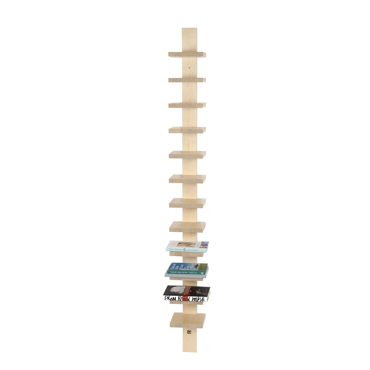 Pilaster