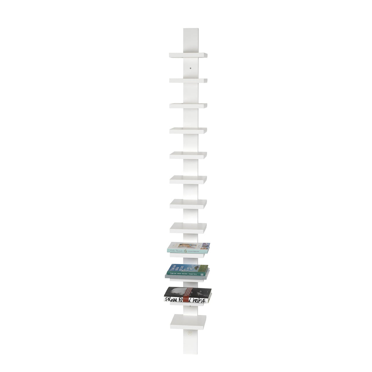 Pilaster