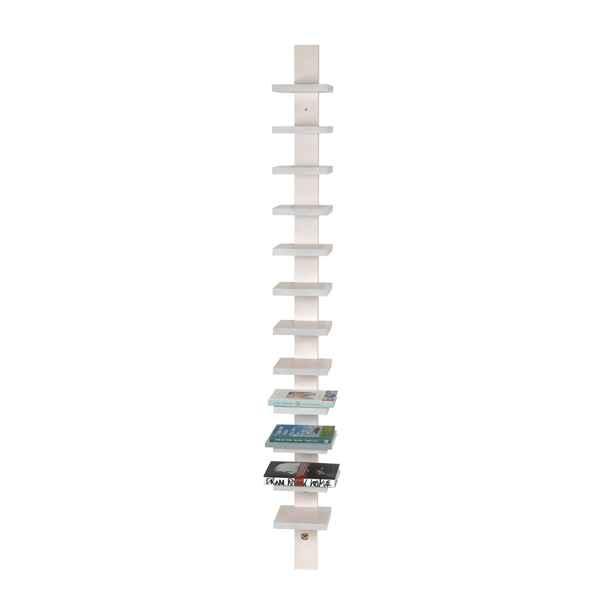 Pilaster